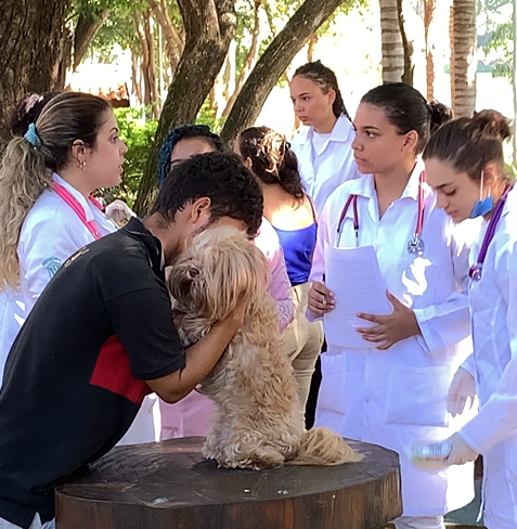 Prefeitura promoverá 7º HortoPet