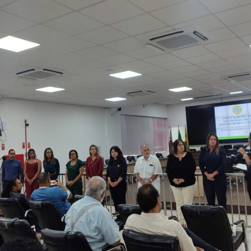 Novos membros de comitê de investigação de óbito materno infantil e fetal são nomeados e têm capacitação